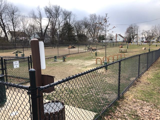 Dog Park